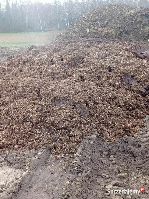 Obornik kurzy, pomiot