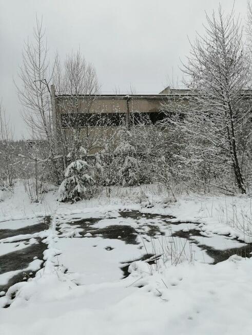 Hala przemysłowa od Syndyka - Głuchów