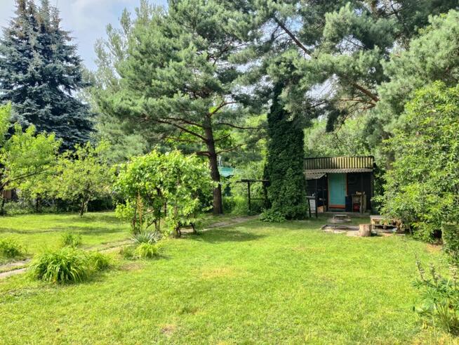 Działka Rekreacyjna ROD 500m2 Paluch 1 Włochy, Warszawa