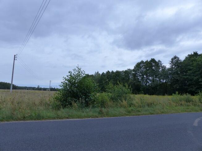 Duże działki rolno-budowlane pod lasem