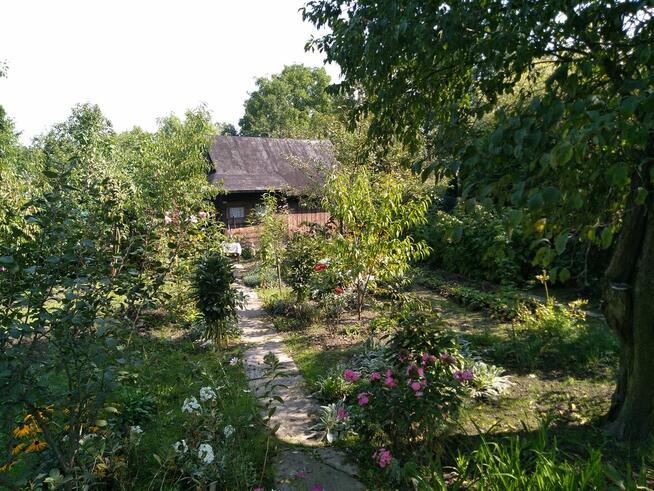 Okazja ! Sprzedam ogródek działkowy w ROD Biała Róża