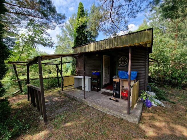 Działka Rekreacyjna ROD 500m2 Paluch 1 Włochy, Warszawa