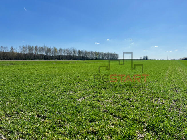 Działka budowlana Korabiewice gm. Puszcza Mariańska,