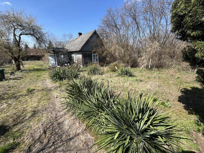 Siedlisko w Kaliszanach Kolonii gm. Józefów