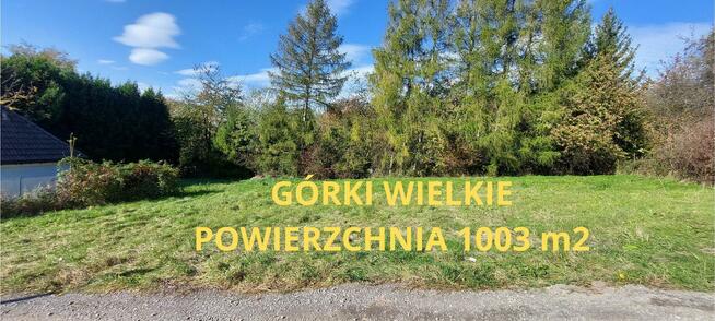 Działka budowlana Górki Wielkie gm. Brenna, Kręta