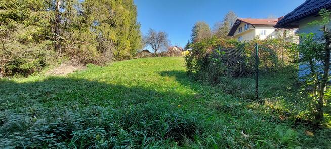 Działka budowlana Górki Wielkie gm. Brenna, Kręta