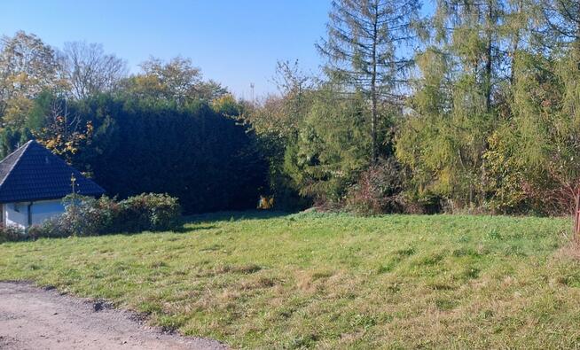 Działka budowlana Górki Wielkie gm. Brenna, Kręta