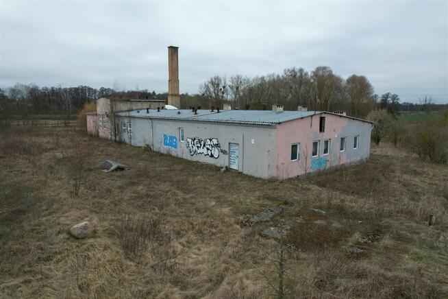 Działka Mieszkowice