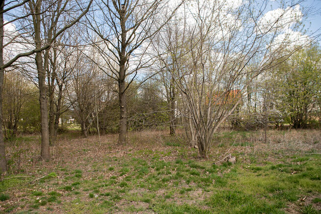 Działka budowlana w Krzyżu!