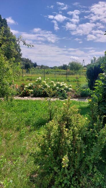 Dzialka rekreacyjno-rolna 5 arowa