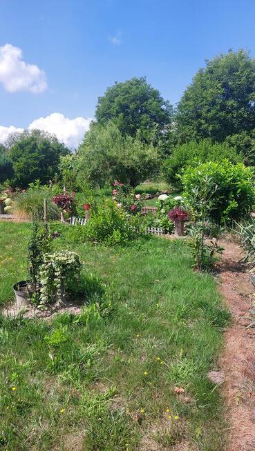 Dzialka rekreacyjno-rolna 5 arowa