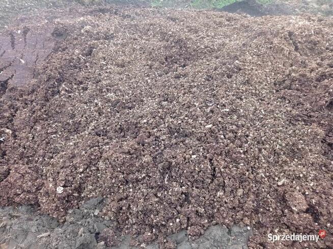 Obornik kurzy, pomiot