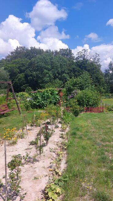 Dzialka rekreacyjno-rolna 5 arowa