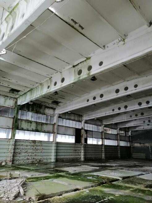 Hala przemysłowa od Syndyka - Głuchów