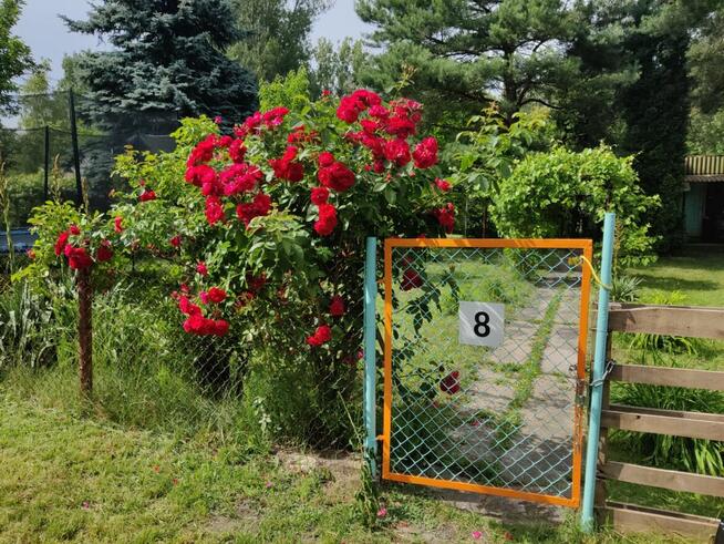 Działka Rekreacyjna ROD 500m2 Paluch 1 Włochy, Warszawa