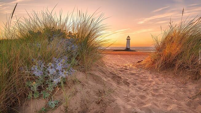 Puszysta Dominującą pozna uległa puszysta plus size