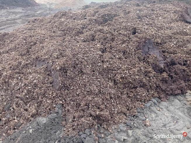 Obornik kurzy, pomiot