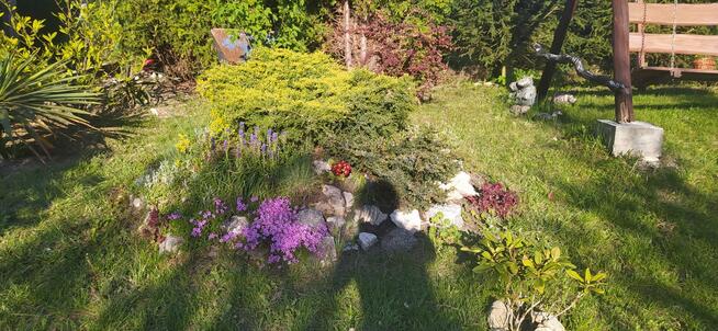 Na sprzedaż działka ROD GRODZIEC BĘDZIN