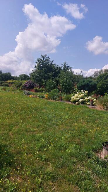 Dzialka rekreacyjno-rolna 5 arowa