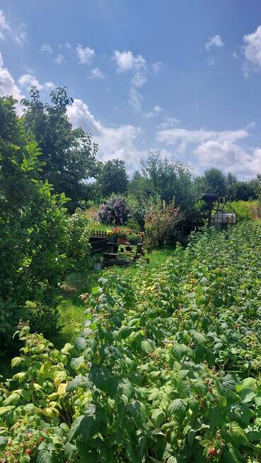 Dzialka rekreacyjno-rolna 5 arowa