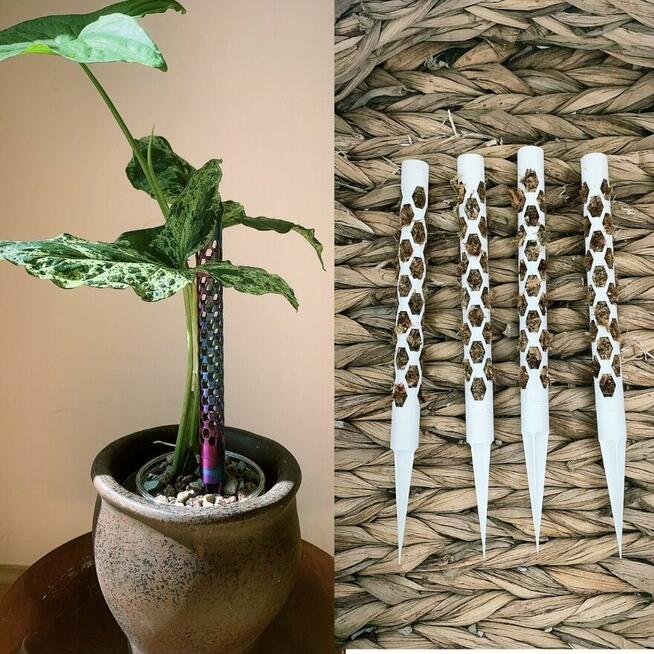 Paliki modułowe, z mchem lub bez podpora do kwiató