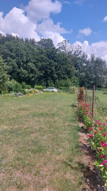 Dzialka rekreacyjno-rolna 5 arowa