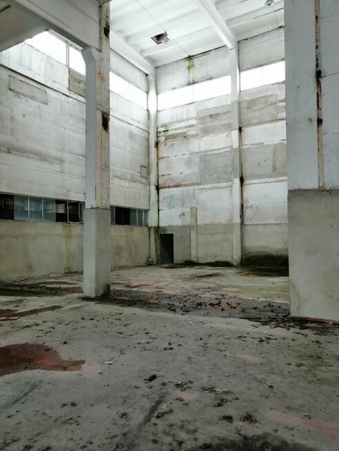 Hala przemysłowa od Syndyka - Głuchów