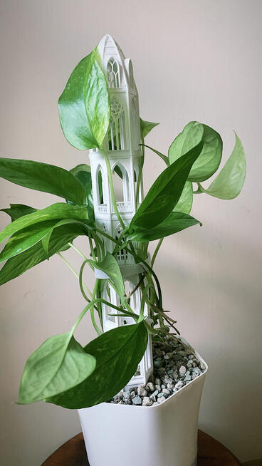 Paliki modułowe, z mchem lub bez podpora do kwiató