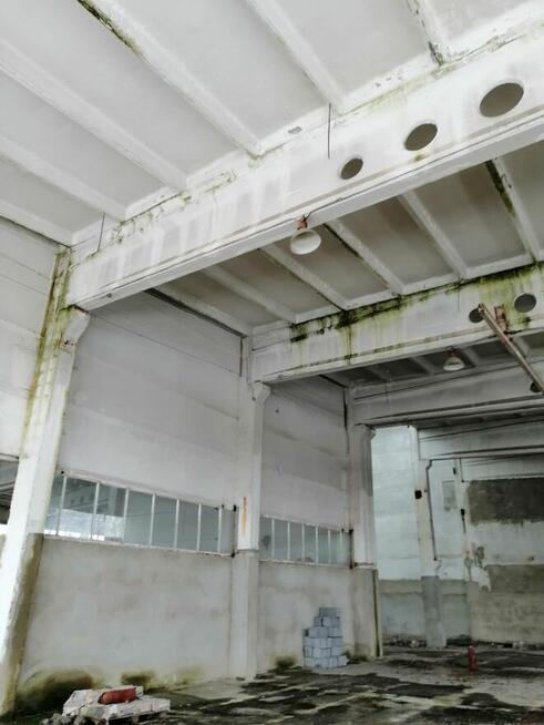 Hala przemysłowa od Syndyka - Głuchów