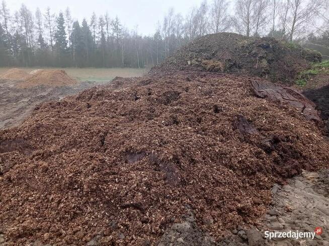 Obornik kurzy, pomiot