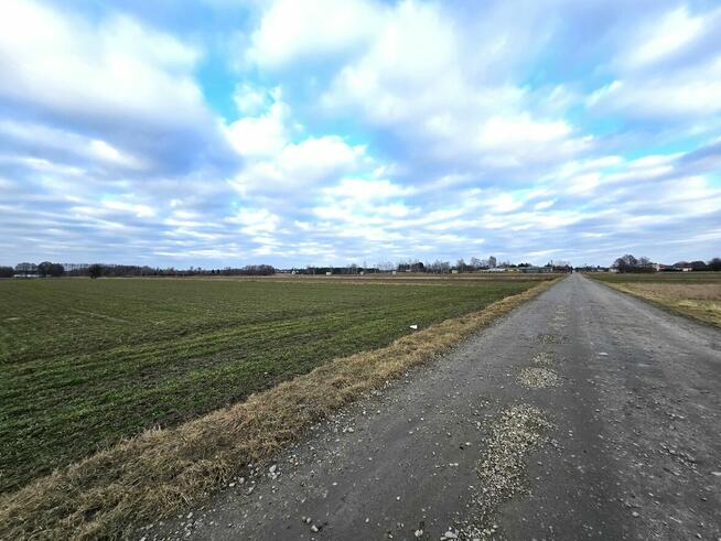 Działki w Skrobowie, gm. Lubartów