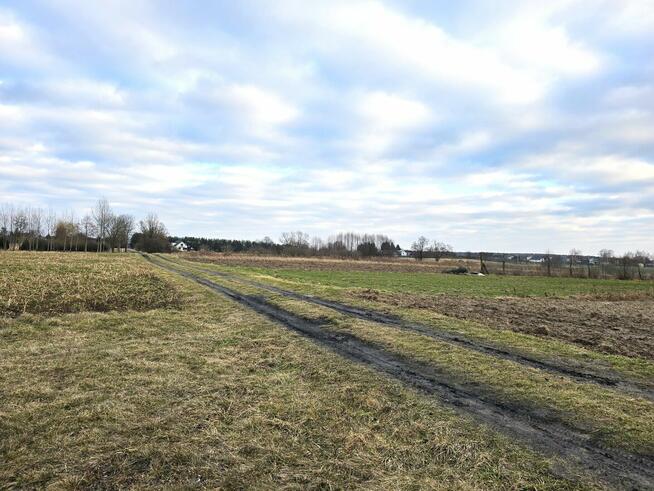 Działki w Skrobowie, gm. Lubartów