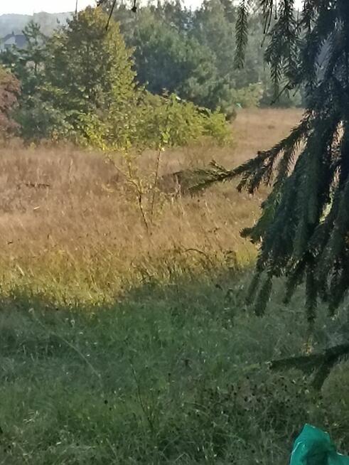 Sprzedam działkę inwestycyjna