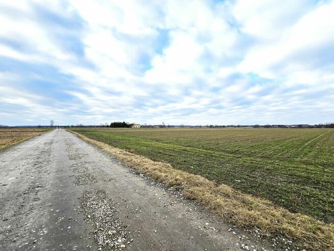 Działki w Skrobowie, gm. Lubartów