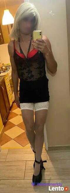 Roksi Trans na spacerek z Panem