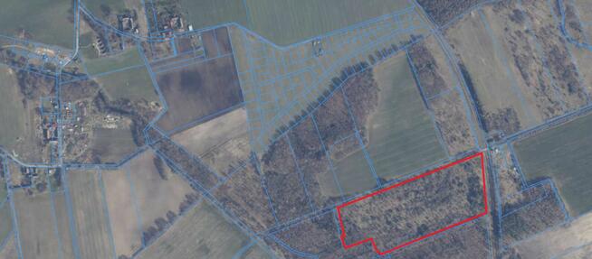 Działki budowlane nad morzem przy lesie