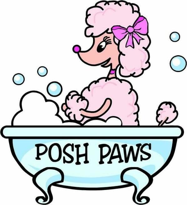 salon pielęgnacji psów DAISY .fryzjer dla psów, groomer