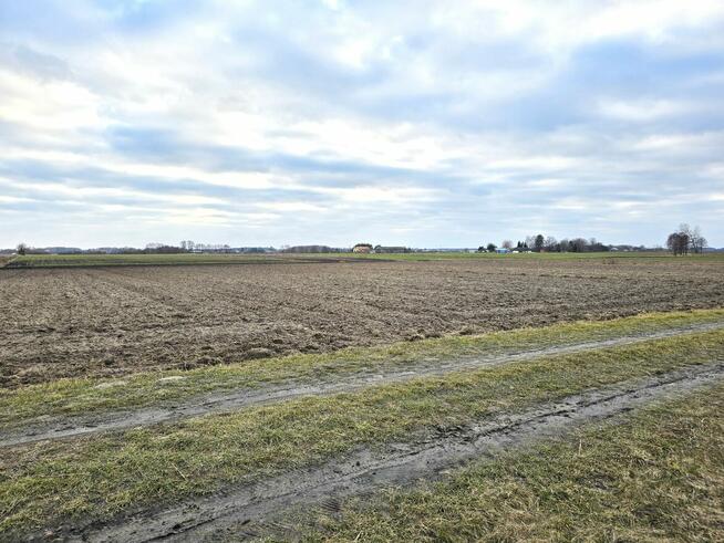 Działki w Skrobowie, gm. Lubartów