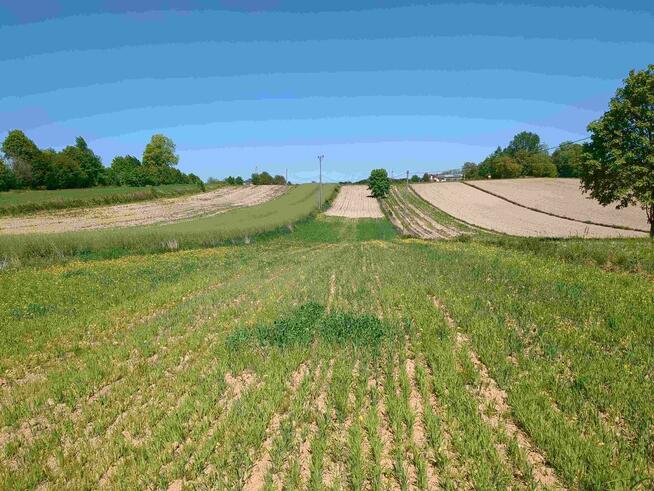 Nieruchomość gruntowa od syndyka - Węgliska