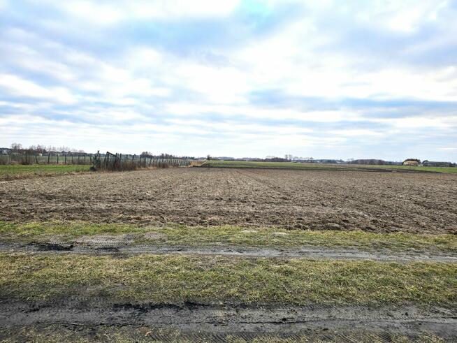 Działki w Skrobowie, gm. Lubartów