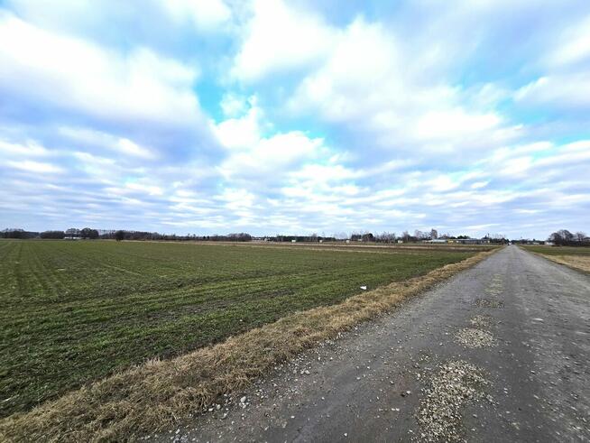 Działki w Skrobowie, gm. Lubartów