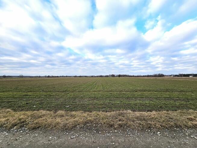 Działki w Skrobowie, gm. Lubartów