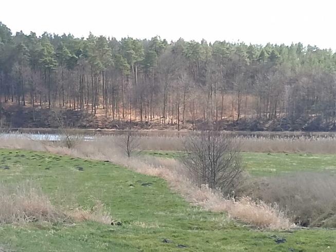 Działka przemysłowa Kościerzyna