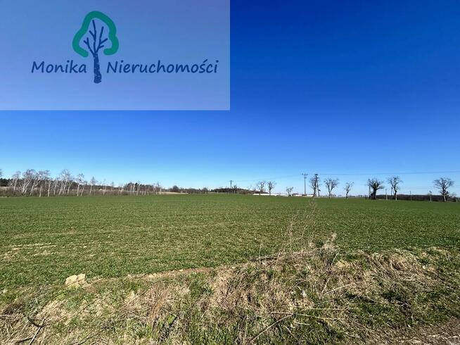 Działka rolno-budowlana Turze gm. Tczew, Leśna