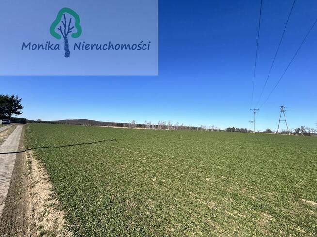 Działka rolno-budowlana Turze gm. Tczew, Leśna