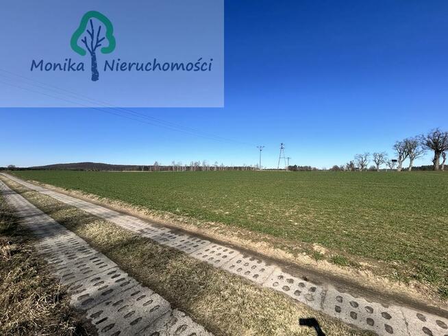 Działka rolno-budowlana Turze gm. Tczew, Leśna