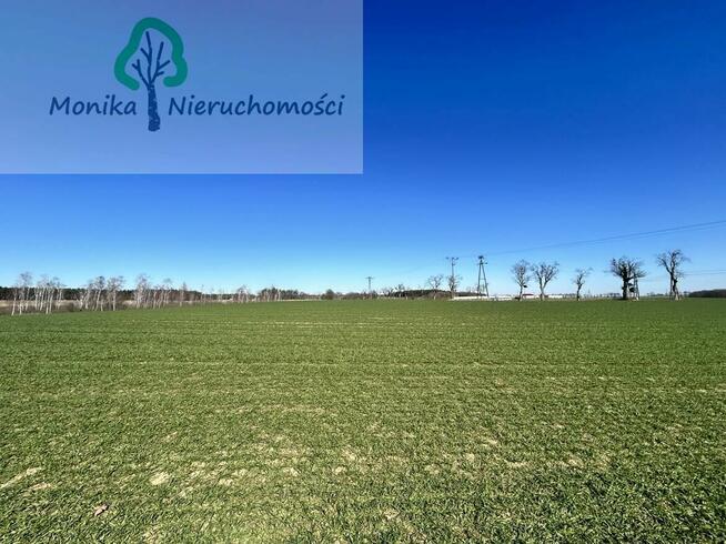 Działka rolno-budowlana Turze gm. Tczew, Leśna