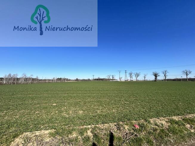 Działka rolno-budowlana Turze gm. Tczew, Leśna