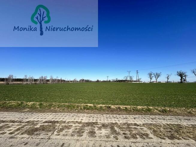 Działka rolno-budowlana Turze gm. Tczew, Leśna