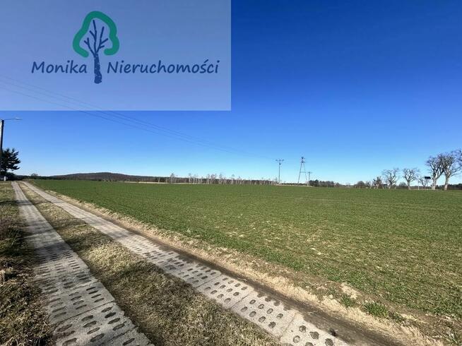 Działka rolno-budowlana Turze gm. Tczew, Leśna